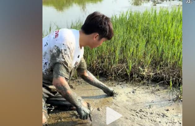 抖音增粉点赞套餐-24小时抖音自助下单平台