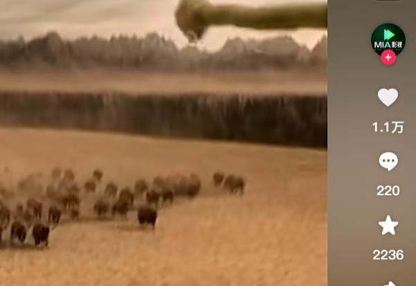 抖音抢购特惠-如何利用优惠券限时发放，粉丝福利购物新选择