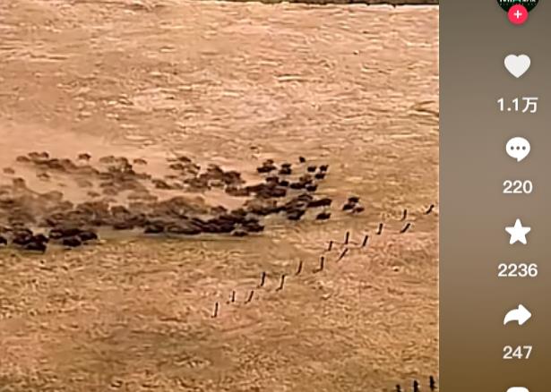 揭秘电脑刷抖音播放量技巧-抖音粉丝增长攻略刷赞全解析