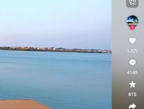 TikTok刷粉丝点赞平台-24小时自助下单平台