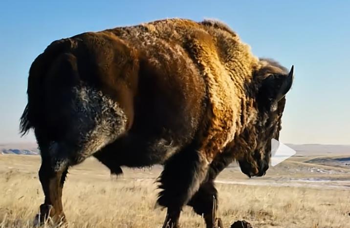 快手直播间没人怎么办-需要直播人气直播挂铁-0.1元60人