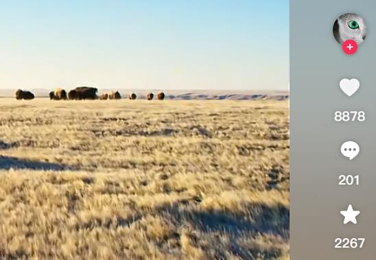 抖音可以刷粉丝吗-刷粉丝对账号有什么影响？