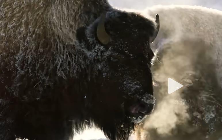 如何免费抖音涨粉 - 抖音3元一万粉, 抖音粉丝暴涨免费软件