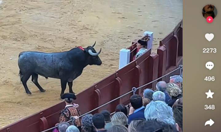 墨龙代刷网站 - 自助下单平台业务秒刷网