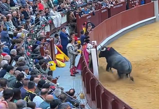 自助下单平台业务秒刷网_刷抖音赞和快手赞的网址-24小时自助买抖音粉丝