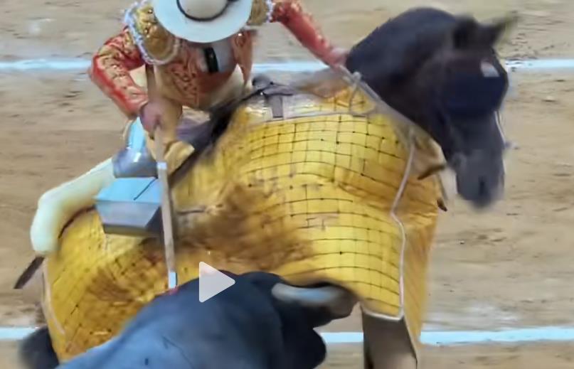 抖音攻略解锁抖音粉丝增长秘籍-自助下单抖音平台