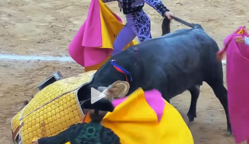 闲鱼刷粉刷想要--揭秘应对策略与闲鱼粉丝服务之道