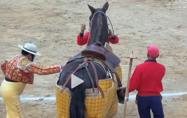 微博刷量成瘾_哔哩哔哩秒刷业务自助下单平台_推广网