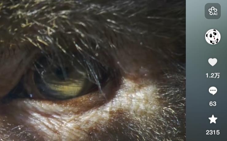 微博自助下单平台业务秒刷网 - 全网最低刷qq空间访客量网站