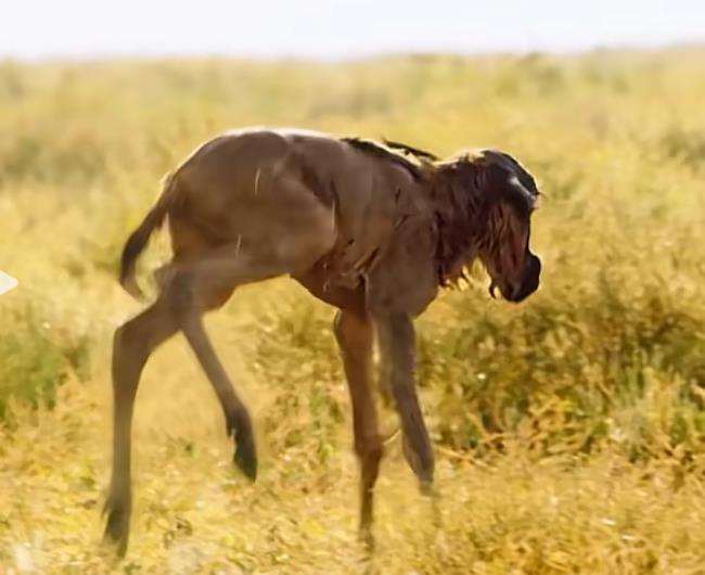 漫改如何赚钱-最新赚钱项目网