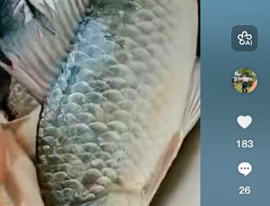 在家直播卖年货-比街头摆摊强太多-最新创业项目