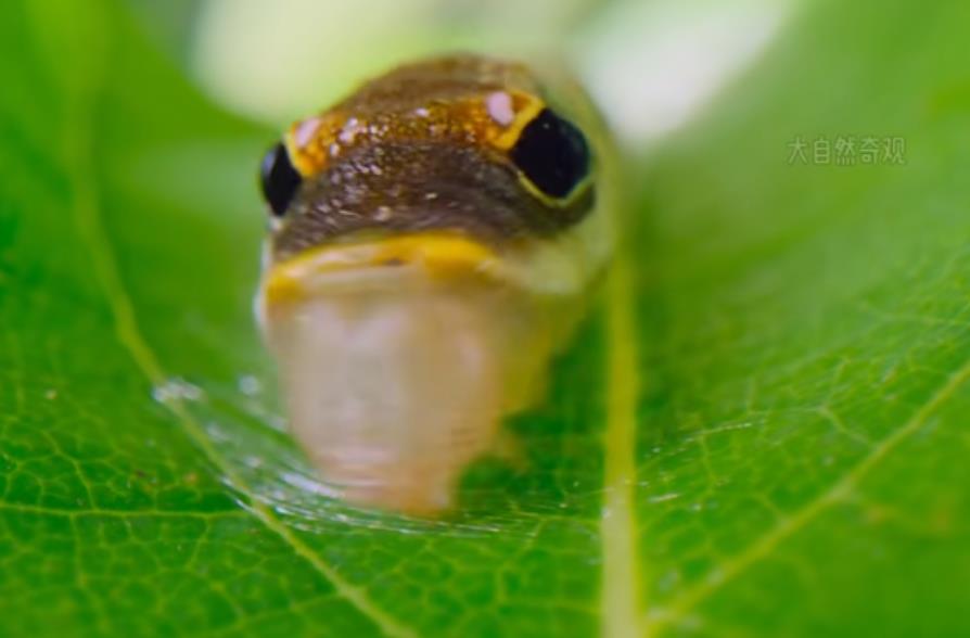 警惕机票改签骗局:别让新骗术掏空你的钱包