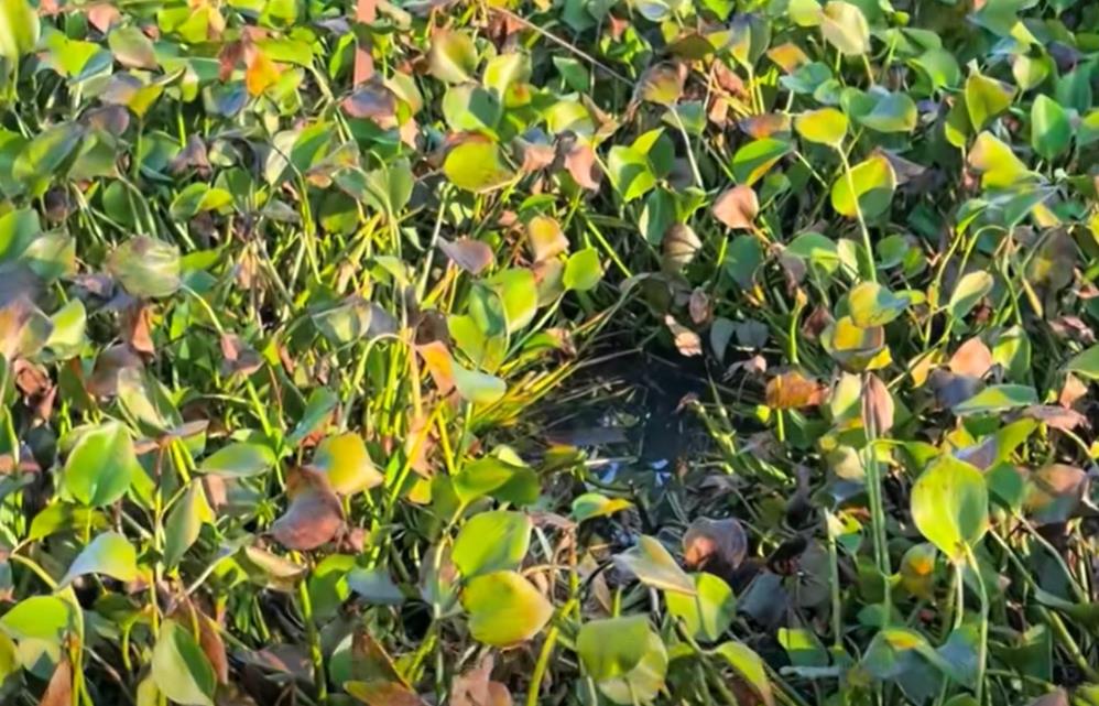 初中生被骗11万整个过程-骗局揭秘