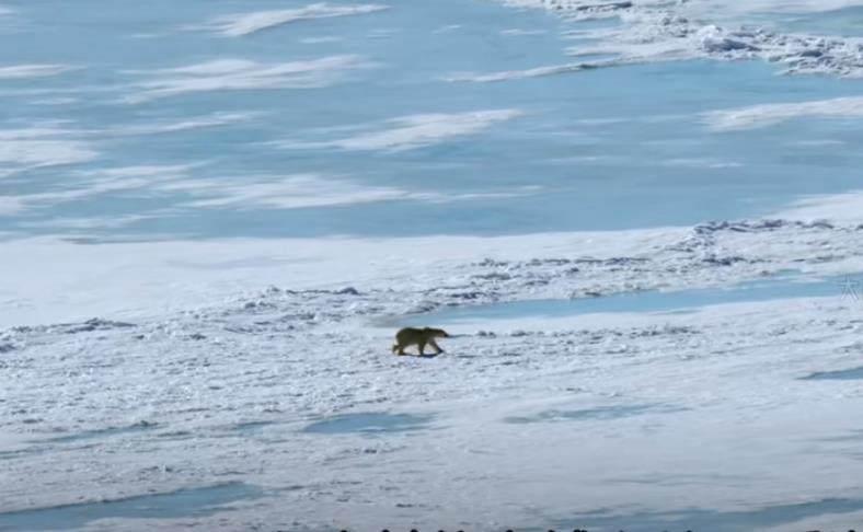 快手直播挂铁哪款好-快手直播人气4小时0.5元