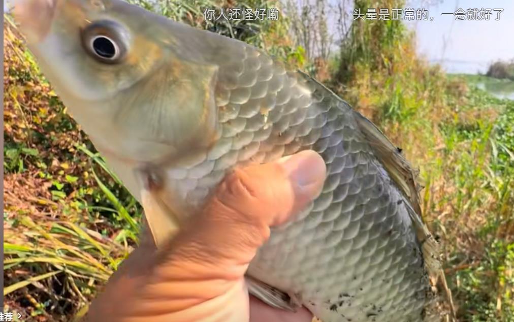 43万定期存款居然也会被骗走-普通人的心酸故事