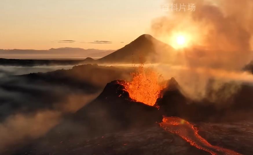 抖音刷业务自助下单平台24小时dy购买点赞粉丝业务人气网站