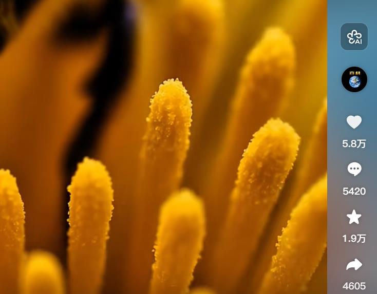 抖音业务自助下单 - 抖音刷粉丝刷赞网站