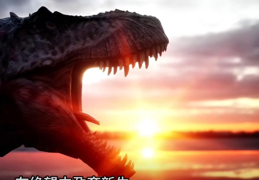 24小时抖音直播人气自助下单平台 - 兵马俑软件免费下载